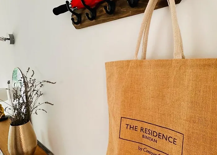 *rivage* Spacieux T2 Rdc Sur Cour:jardin-fibre-netflix-terrasse