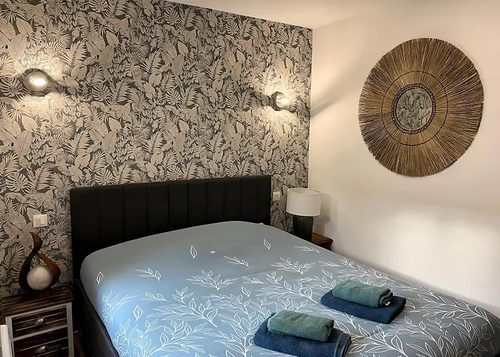 Appartement *rivage* Spacieux T2 Rdc Sur Cour:jardin-fibre-netflix-terrasse